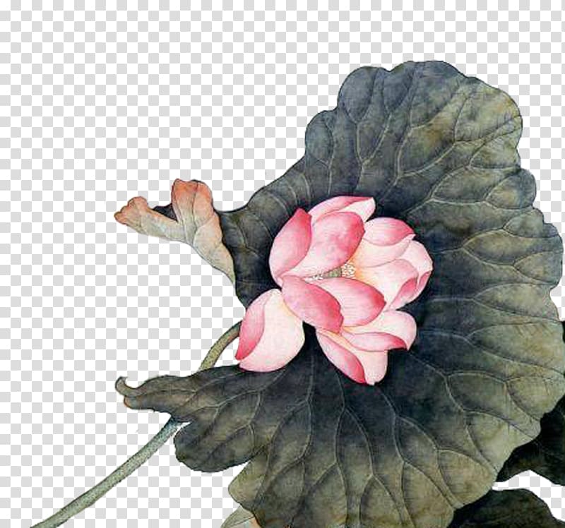 Paper Chinese painting Art , Painting lotus transparent background PNG clipart
