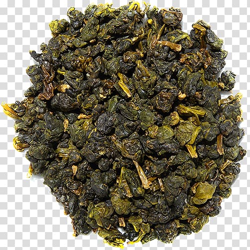 Oolong Nilgiri tea Tieguanyin Assam tea Da Hong Pao, oolong Tea transparent background PNG clipart