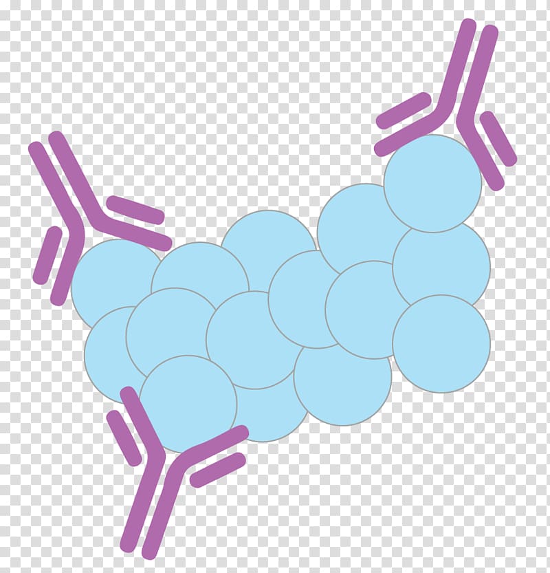 Premature rupture of membranes ROM Placental alpha microglobulin-1 (PAMG-1) Insulin-like growth factor-binding protein, Monoclonal transparent background PNG clipart