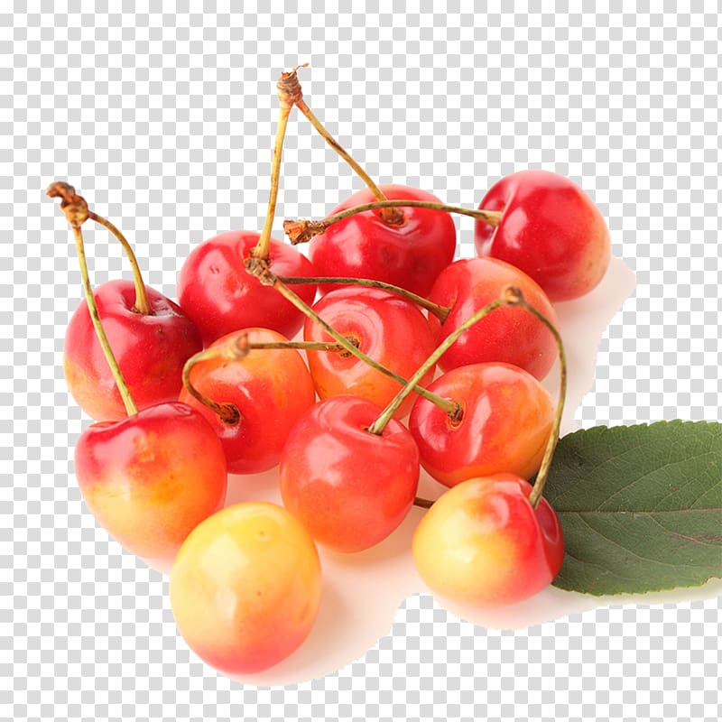 Barbados Cherry Sweet Cherry Rainier cherry Prunus tomentosa, Cherry transparent background PNG clipart