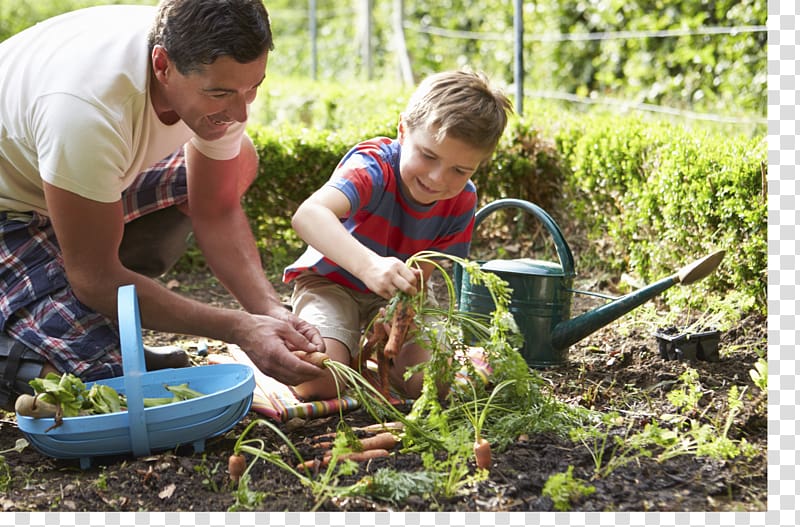 Farmer Child Urban agriculture, junk food transparent background PNG clipart