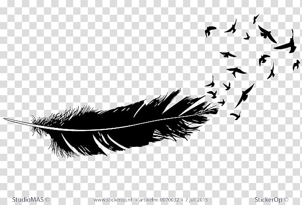 Feather Bird Beak Wing Tail, veer transparent background PNG clipart