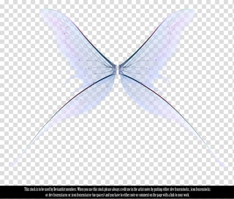 Fairy Butterfly Wing, wings transparent background PNG clipart