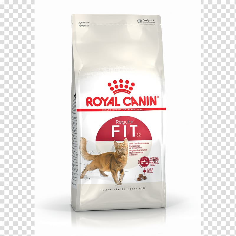 Cat Food Kitten Persian cat Dog Royal Canin, kitten transparent background PNG clipart