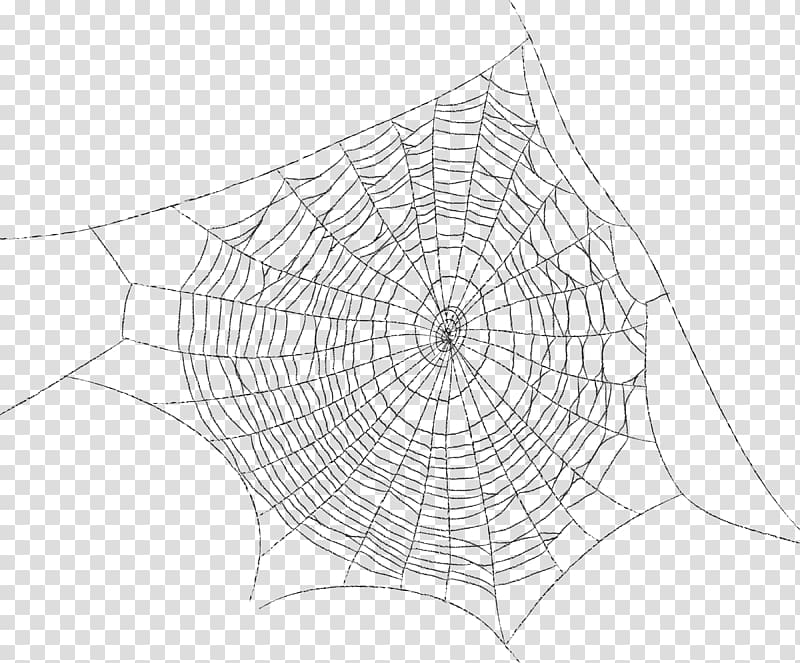 spider web illustration, Spider-Man Monochrome Screenwriter Producer Drawing, spider web transparent background PNG clipart