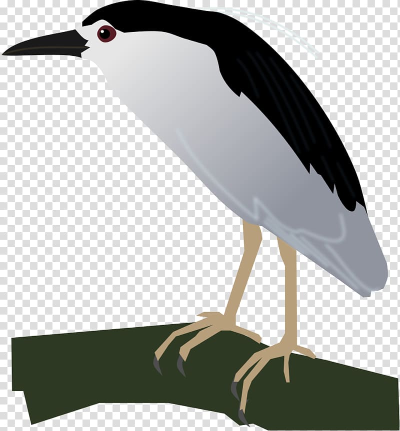 Black-crowned night heron Crane Bird Stork, crane transparent background PNG clipart