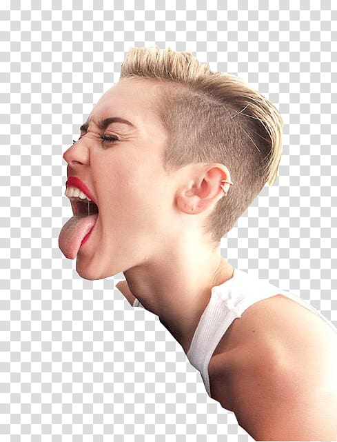 Terry Richardson grapher Wrecking Ball Singer, grapher transparent background PNG clipart