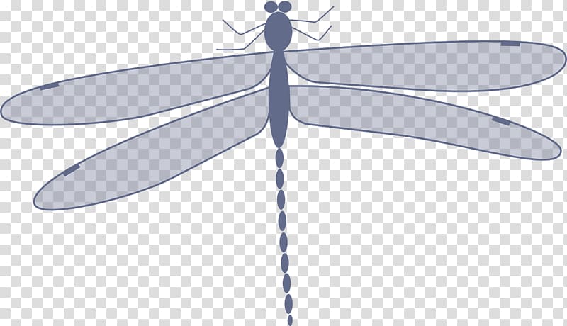 Insect Dragonfly Animation , Gray dragonfly transparent background PNG clipart