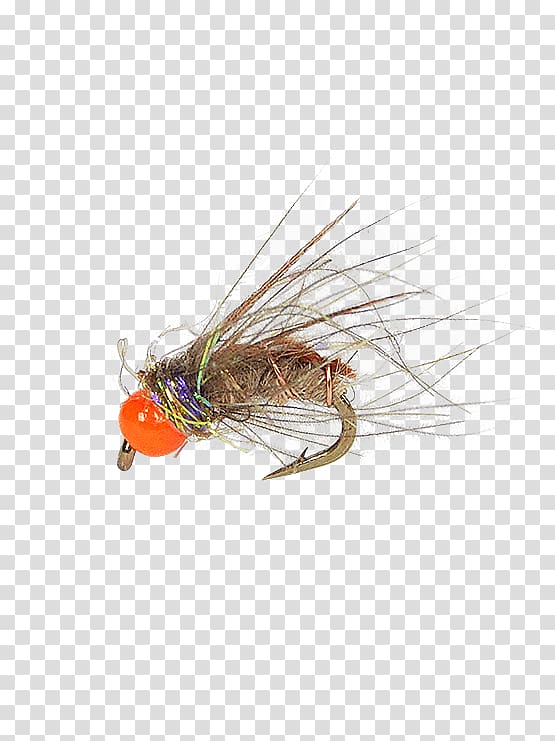 Artificial fly Caddisflies Pupa Elk Hair Caddis Fly fishing, Holly Flies transparent background PNG clipart