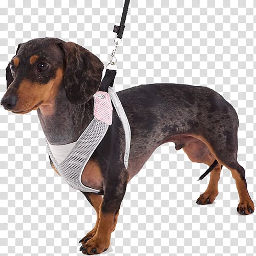 Dachshund Dog harness Doggles Horse Harnesses, horse transparent background PNG clipart