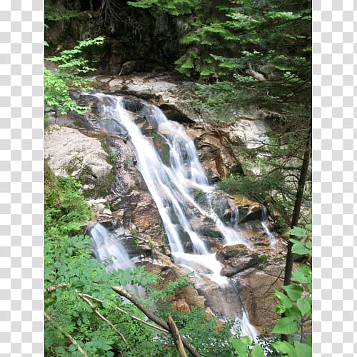 Waterfall Vegetation Water resources Old-growth forest Watercourse, mountain waterfalls transparent background PNG clipart