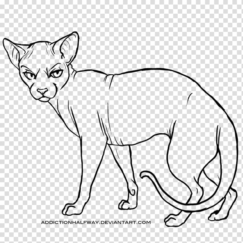 Whiskers Sphynx cat Wildcat Line art, sphynx cat transparent background PNG clipart