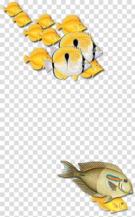 Fish Animal, tropical forest transparent background PNG clipart