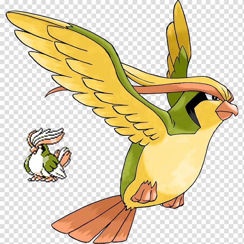 Pokémon GO Pokémon Battle Revolution Pidgeotto, pokemon go transparent background PNG clipart