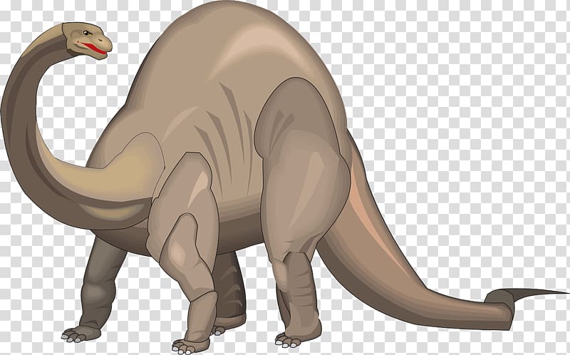 Brontosaurus Apatosaurus Brachiosaurus Stegosaurus , dinosaur transparent background PNG clipart