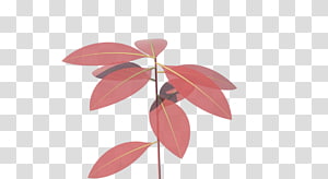 Petal Leaf, Leaf transparent background PNG clipart thumbnail