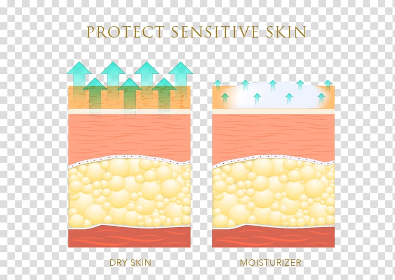 TYO:3625 , protect skin transparent background PNG clipart