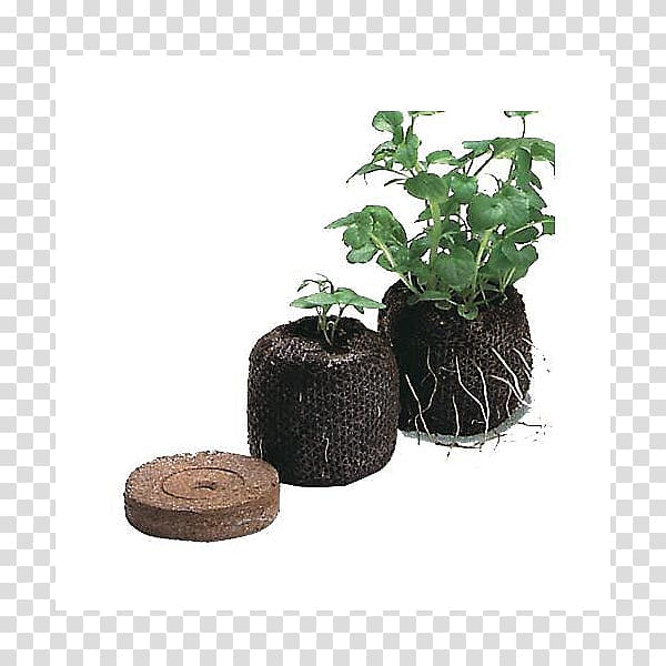 Peat Plant propagation Pellet fuel Transplanting Plug, others transparent background PNG clipart