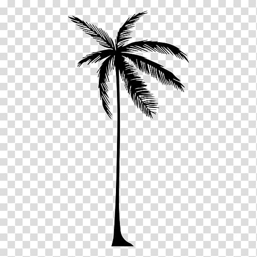 Arecaceae Tree Drawing Silhouette, tall transparent background PNG clipart