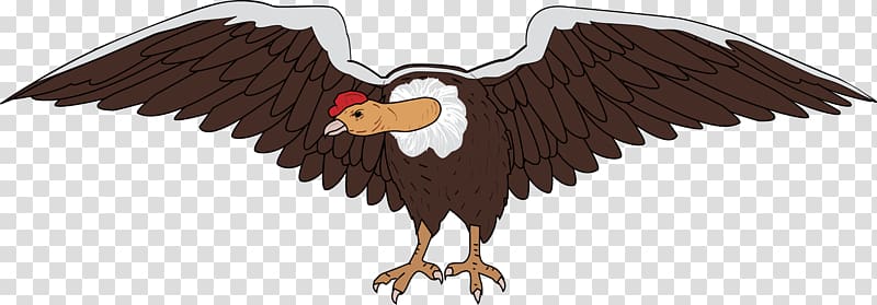 Andean condor Bird Cauca Department Huila Department, Vultur gryphus, logo,  bird, name png | PNGWing