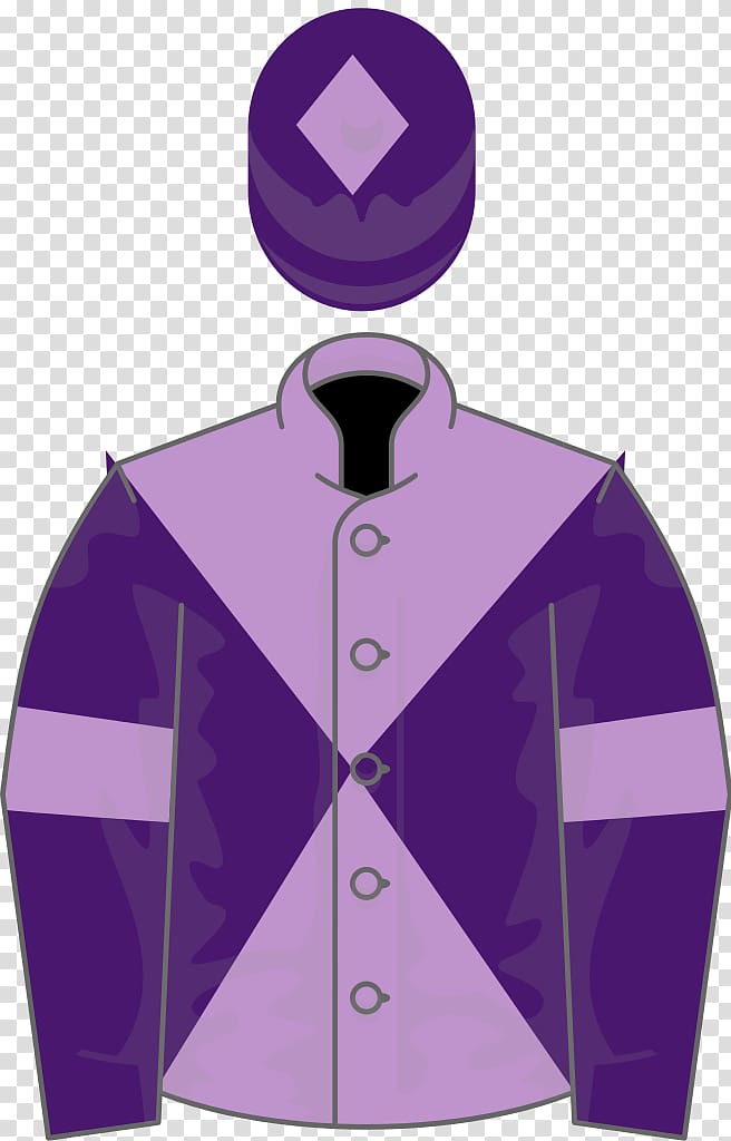 2006 Grand National Aintree Racecourse 1964 Grand National Thoroughbred Epsom Derby, others transparent background PNG clipart