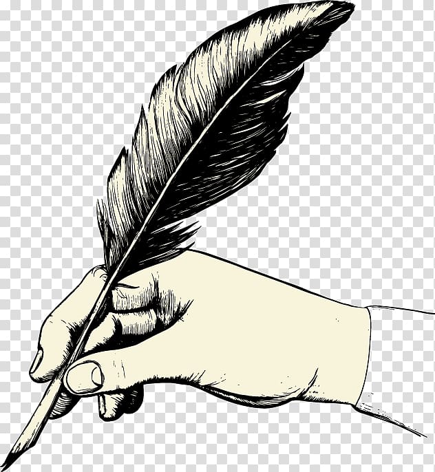 Feather Paper Quill Pen , feather transparent background PNG clipart