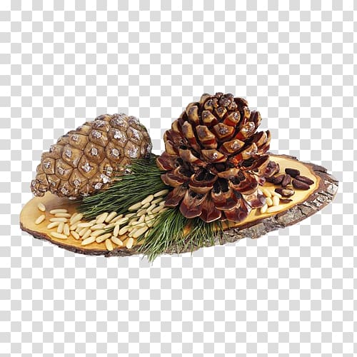 Stone pine Conifer cone Pine nut Cedar Food, Brown pine cone transparent background PNG clipart
