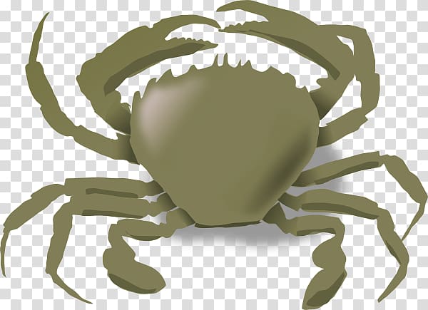 Crab Aquatic animal , king crab transparent background PNG clipart