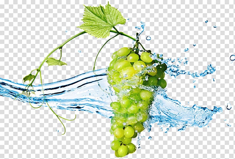 Wine Grape Berry , grapes transparent background PNG clipart