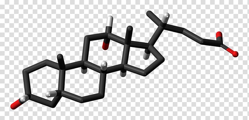 Steroid hormone Cortisol Anabolic steroid, Skeletal transparent background PNG clipart