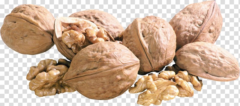 English walnut Vegetarian cuisine Portable Network Graphics, walnut transparent background PNG clipart