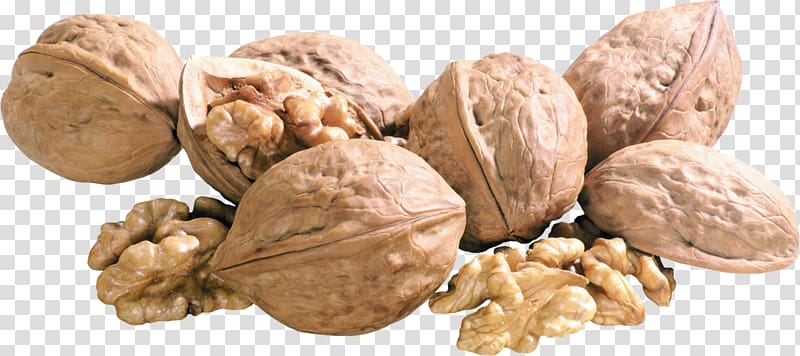 English walnut, walnut transparent background PNG clipart