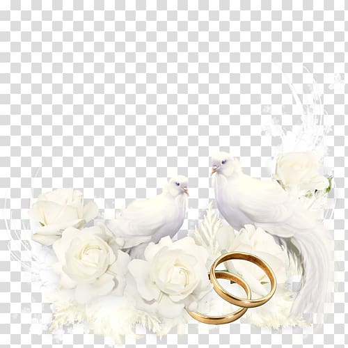 Wedding Convite Marriage Drawing , pigeon dangling ring transparent background PNG clipart