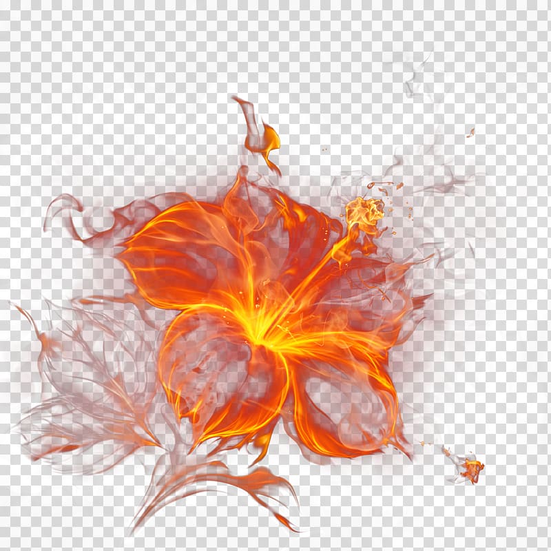 orange flame hibiscus flower art, Flame Light Fire Smoke, Flame flower effect element transparent background PNG clipart