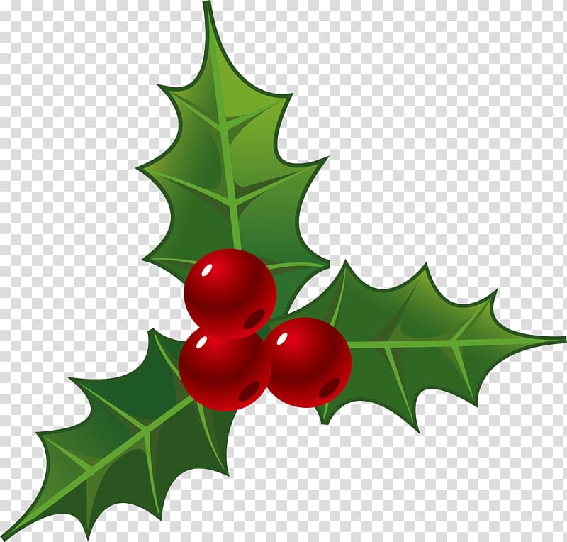 Holly decorations for Christmas transparent background PNG clipart