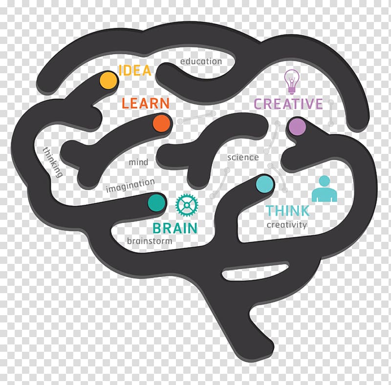 Human brain Diagram, Creative Brain transparent background PNG clipart