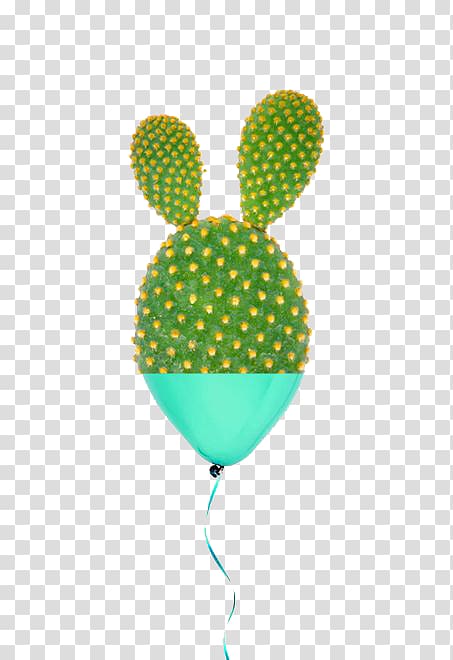 Barbary fig Cactaceae Green, Cactus balloon transparent background PNG clipart