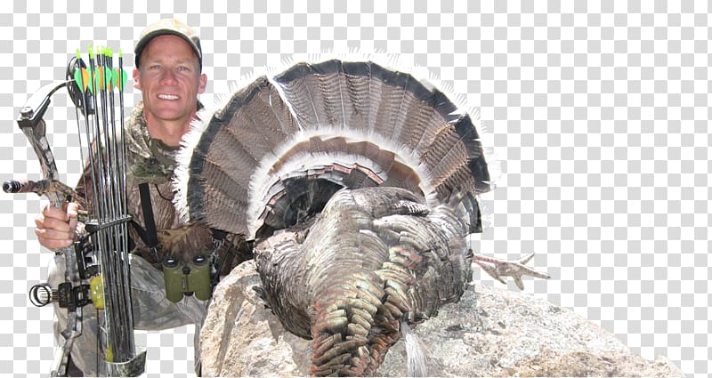 Turkey hunting Turkey hunting Turkey call Domesticated turkey, others transparent background PNG clipart