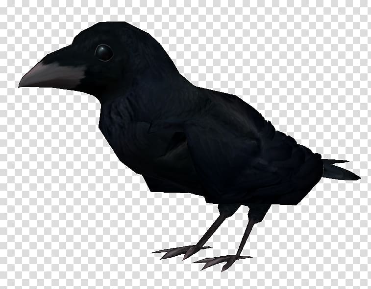 American crow The Elder Scrolls II: Daggerfall Shivering Isles The Elder Scrolls III: Bloodmoon New Caledonian crow, Mud crab transparent background PNG clipart