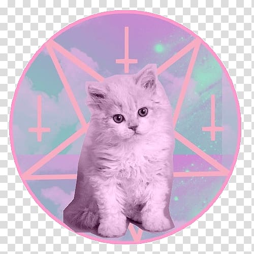 Kitten Cat Satanism Devil, ice explosion transparent background PNG clipart