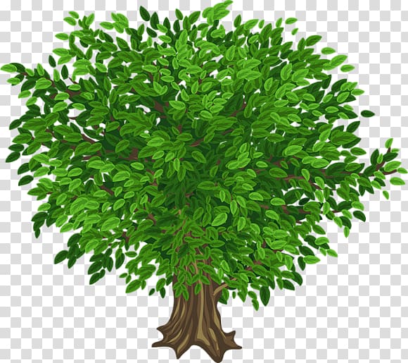 Portable Network Graphics graphics Tree, tree transparent background PNG clipart