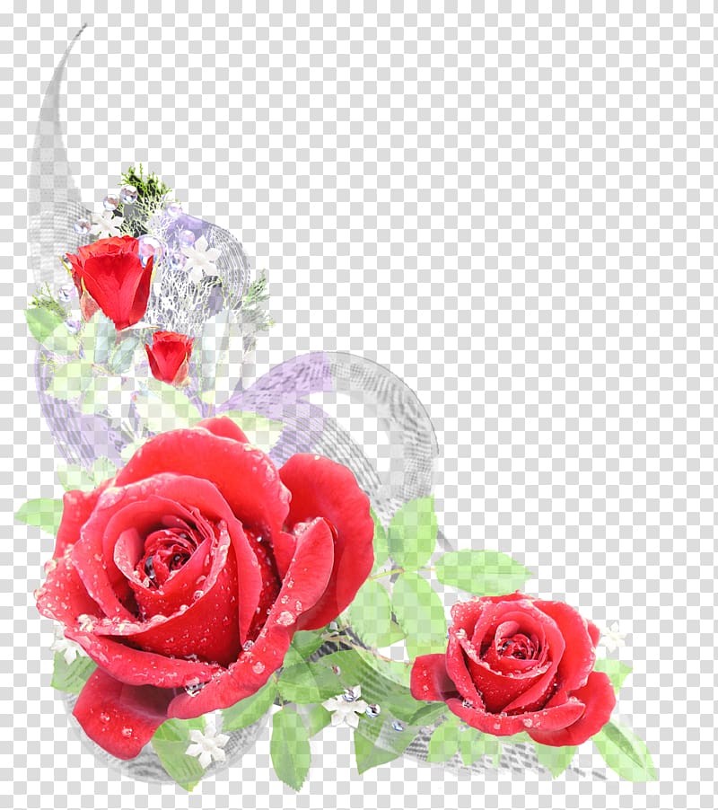 Cut flowers Floral design Rose Flower bouquet, flor transparent background PNG clipart