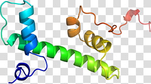 Organism , design transparent background PNG clipart thumbnail