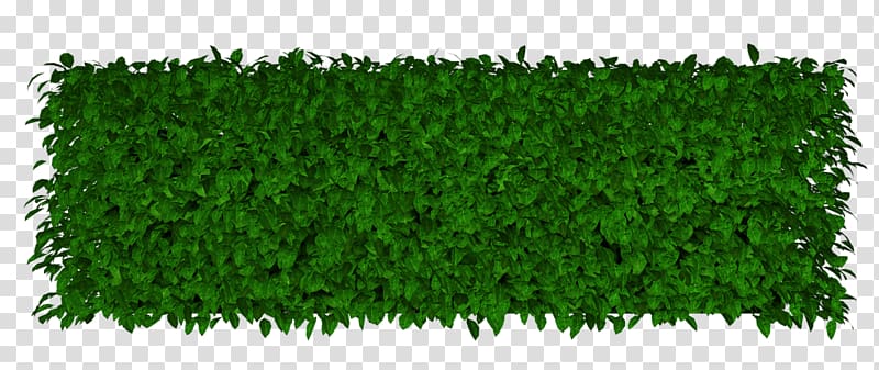 Lawn Artificial turf Garden Hedge, others transparent background PNG clipart