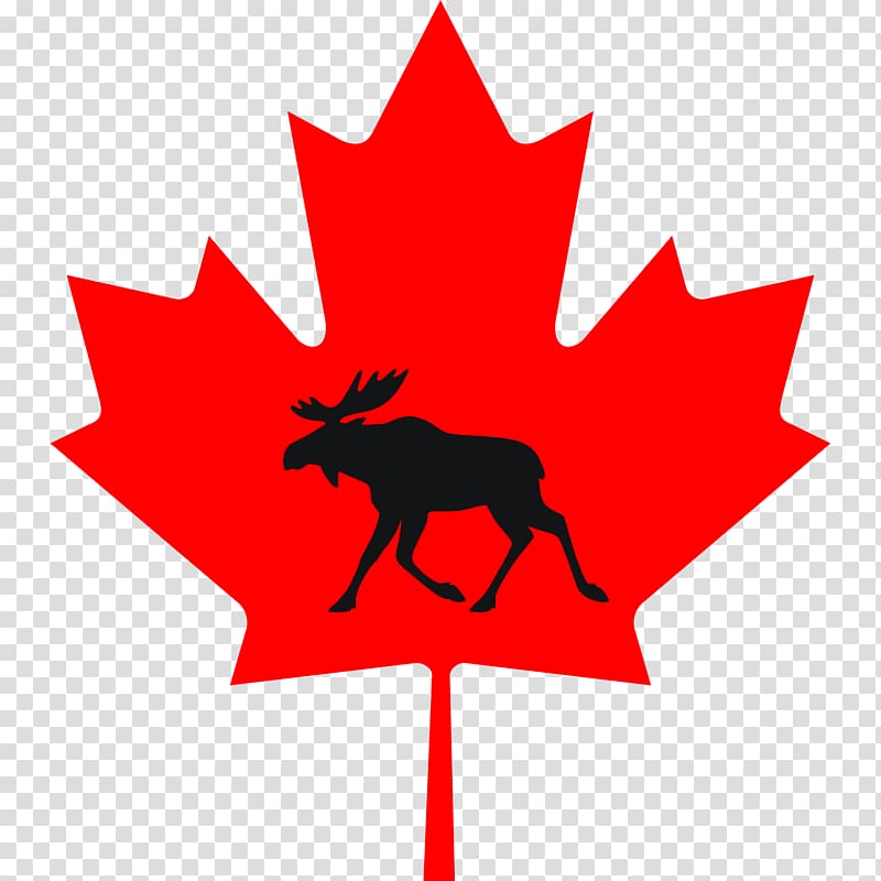 Maple leaf Canada , canada flag transparent background PNG clipart