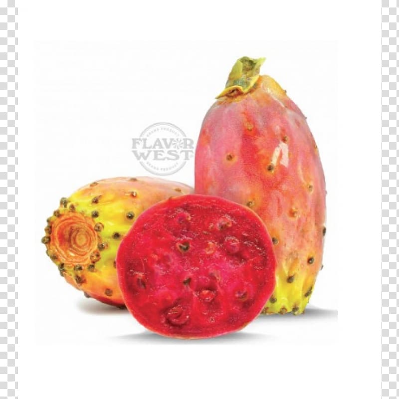 Barbary fig Cactus Oil Auglis Food, cactus transparent background PNG clipart
