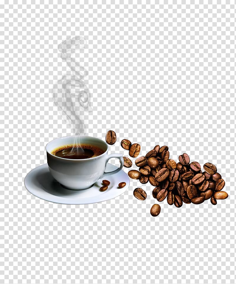 Turka and coffee beans in flight on white background 8012995 Stock