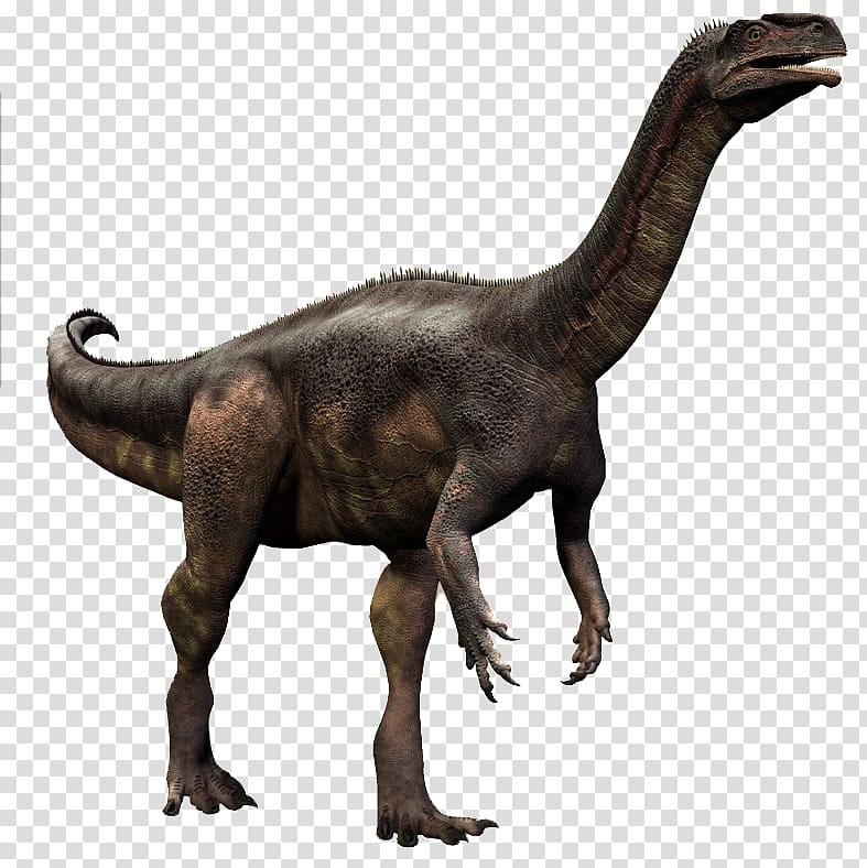 Velociraptor Plateosaurus Teratosaurus Rhamphorhynchus Tyrannosaurus, dinosaur transparent background PNG clipart