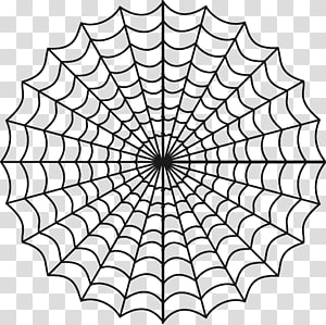 Spider-Man Spider web Coloring book Child, spiders web transparent background PNG clipart thumbnail
