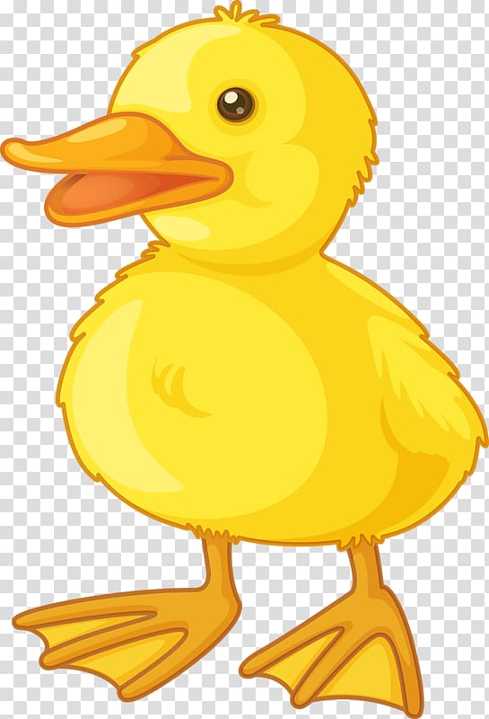Duck , Cute little yellow duck transparent background PNG clipart